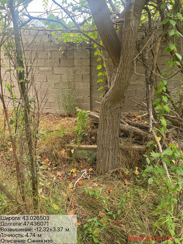 photo 18 2025 08 10 16 50 36.jpg