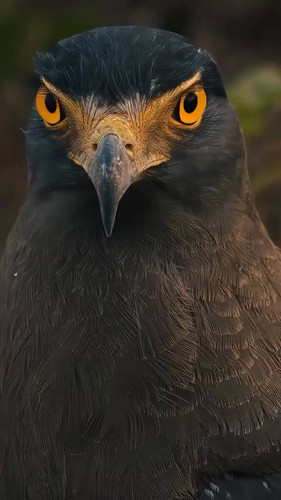 G fOukrdPsYAv5kI.jpg