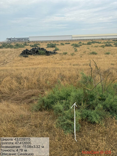 photo 7 2025 08 10 16 50 36.jpg