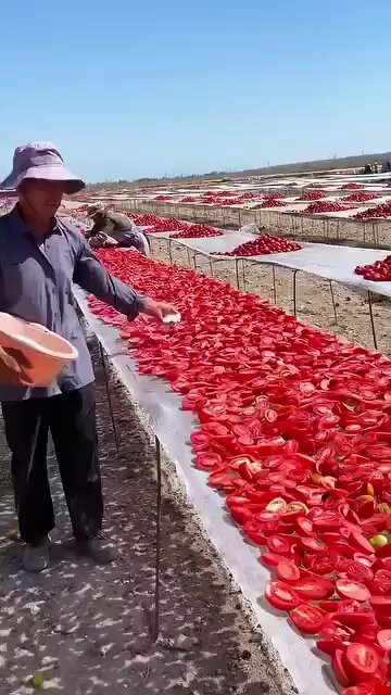 73mx DyKfOzgl4kc.jpg