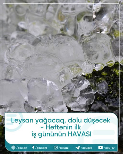 530342294 18523461088031353 2059608148191942296 n.jpg?stp=dst jpg s640x640 tt6& nc cat=104&ccb=1 7& .jpg