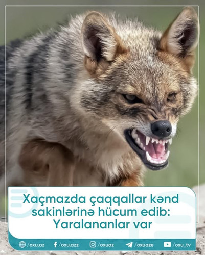 529954630 18523444093031353 7850109641774426896 n.jpg?stp=dst jpg s640x640 tt6& nc cat=108&ccb=1 7& .jpg