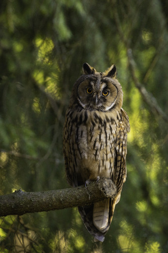 20250701 IMG 9834 2.jpg