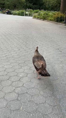 5UYOwN26TQjObVV .jpg