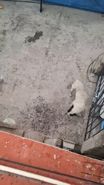 H nhyN 5hrgstkWw.jpg