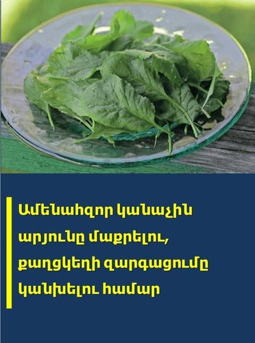 514280469 1108528798091080 3968231784081789576 n.jpg?stp=dst jpg p526x296 tt6& nc cat=101&ccb=1 7& n.jpg