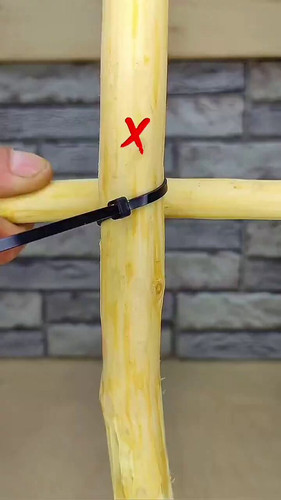 DodA7 SmT1Yv2xSo.jpg