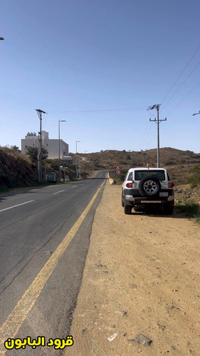 6NZ WiQew4Ks07KU.jpg