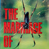 image search 1754833112869