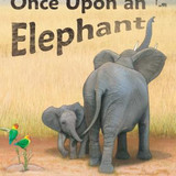 image search 1754833073261