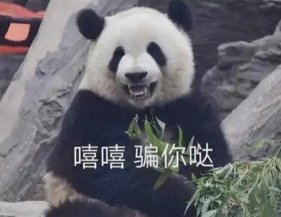 IMG 20250809 170634.jpg