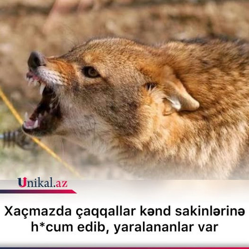 530342353 734102532769019 3128190767085183080 n.jpg?stp=dst jpg p526x296 tt6& nc cat=110&ccb=1 7& nc.jpg