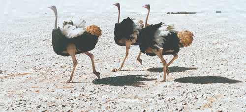 Gx7nmsFXQAAbfr5.jpg