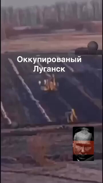 S8ufUxRTDV77gHCN.jpg