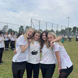 8d0bc19aa6713bd5a49ee420bab876d3