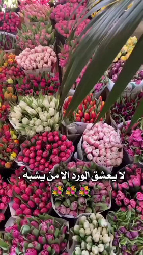 DsKc1ATwp2Eo 1ty.jpg