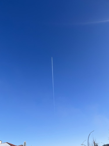 IMG 0985.jpg