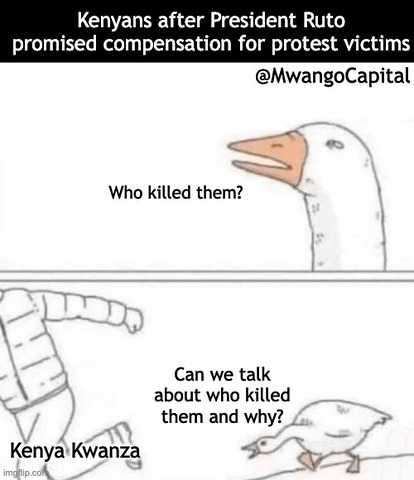 Gx qKB8bYAAdnhb?format=png.png