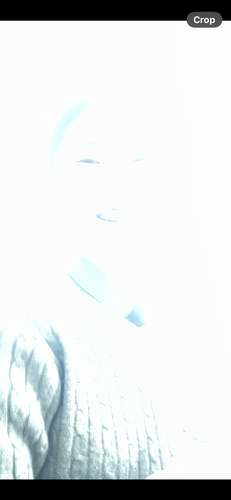 IMG 0665.png