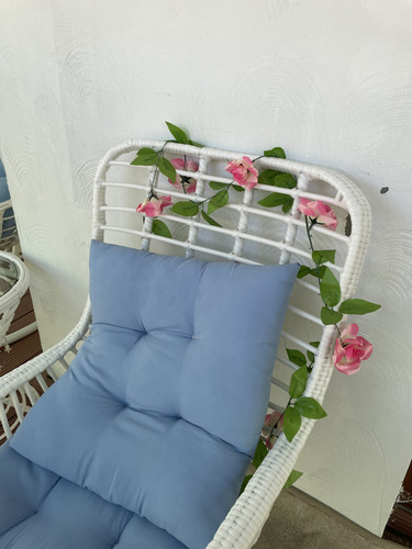 IMG 0185.jpg