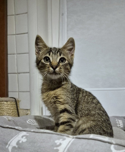 Gx77zXYXcAAW74C.jpg