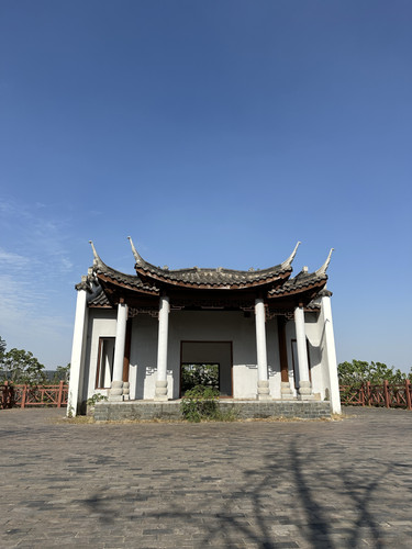 IMG 6966.jpg