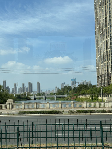 IMG 7137.jpg