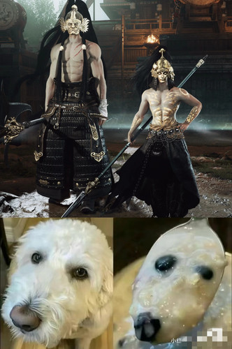 IMG 20250810 122406.jpg