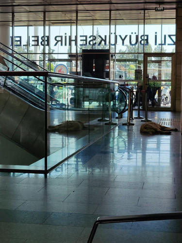 Gx6iSuHWsAAomTh.jpg