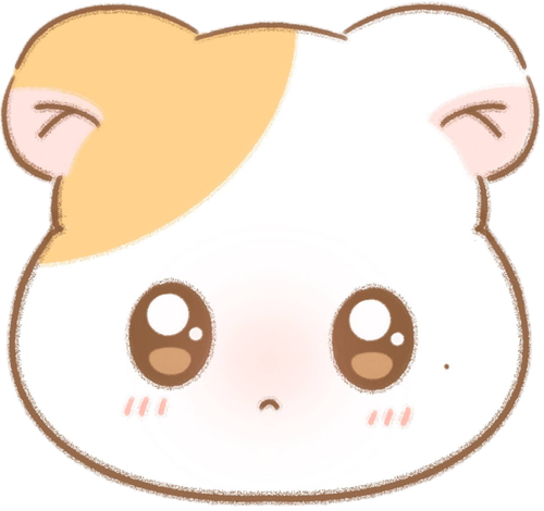 IMG 3586.png