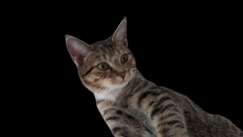 20200422 085141 Photoroom.png