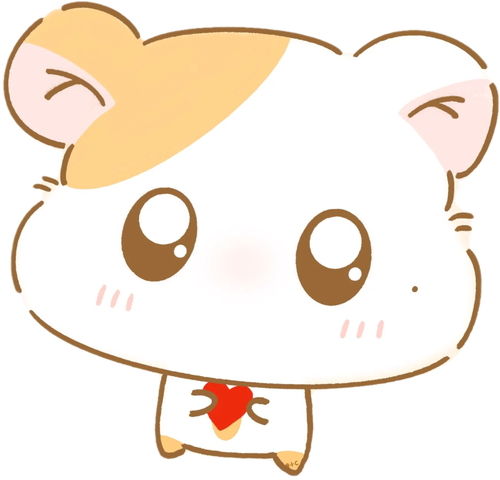 IMG 3587.png