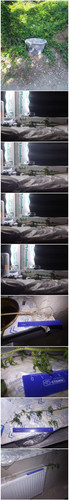 Collage 20250809 135622.jpg