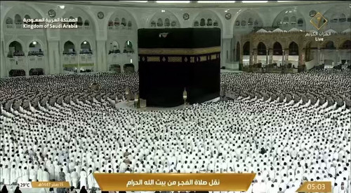 orHEOHy3quaT NWm.jpg