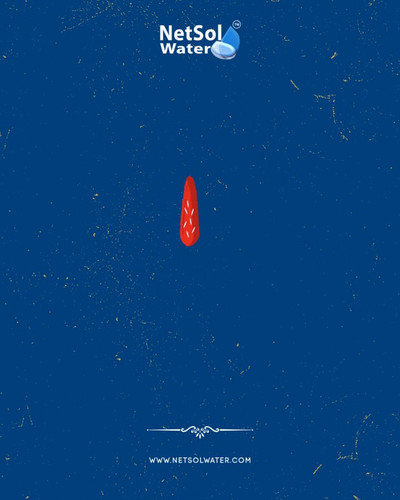 7dsr oI0kT6levQq.jpg