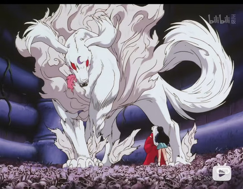 Camera 1040g3k831jhni4n12g9g5pp3csg738lrsrlmgc8.jpg