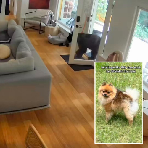 RApLATNGD8YO0VY .jpg