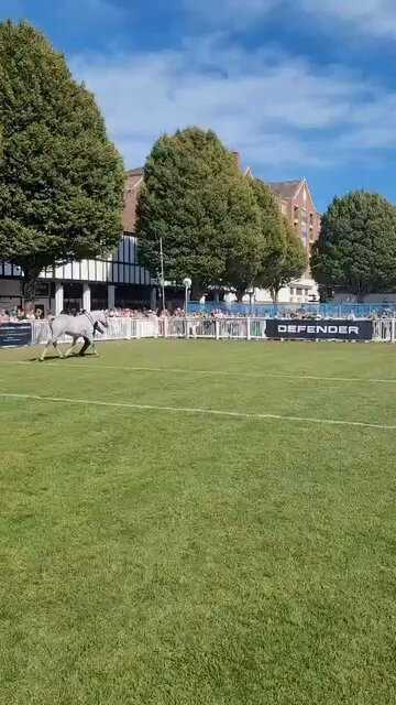 BBRvvk1 LxFkPz3c.jpg