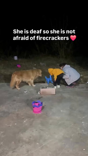 Qoqv2c9V nwvTbyl.jpg