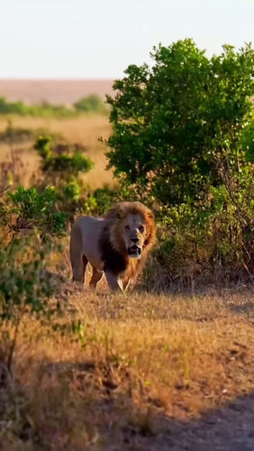 dDj7GGVOEr7 C3bZ.jpg