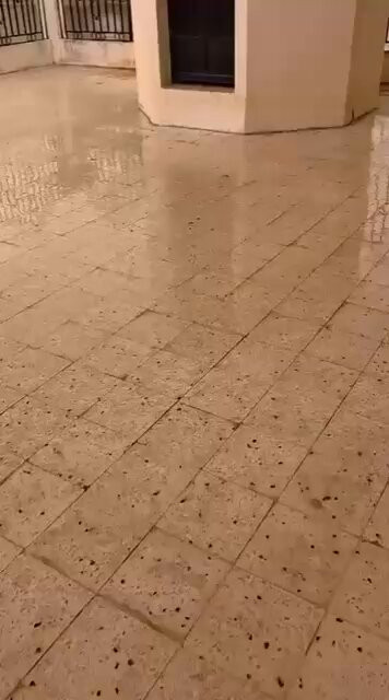 P 09X2zZv9Suw4U0.jpg