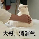 d0a18c9266c85639aa546b9a02b3cc2c