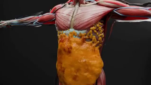 Mo00ce HiDgtGxVX.jpg