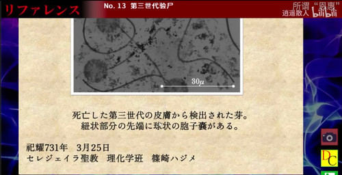 IMG 20250712 165234.jpg