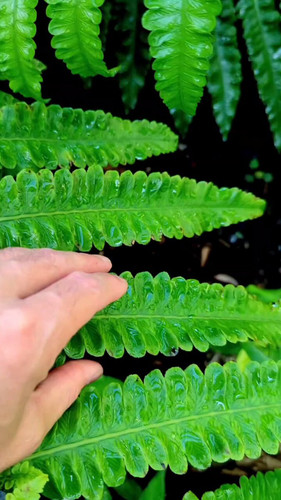 Z90vf7 kmFJ8M7Nu.jpg