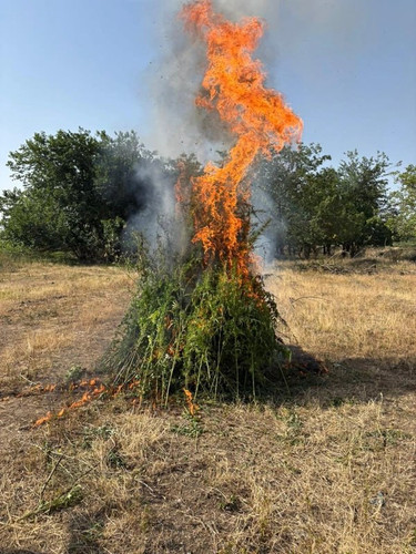 WCvIF1QTt2EdEbozNZVOagcNzRnm897s5LtNWnGRVsFyE3ztfr3G3XxWP4S N1 O0ip3fSfCYm50mcvZLkXRFLQkIrfQvCLa9eZz.jpg