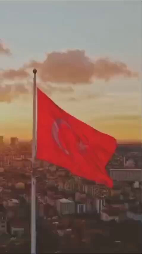 ppL FQ22twuUv4Mu.jpg