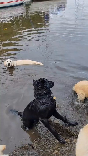 G RvYh0 TfU2DOq4.jpg