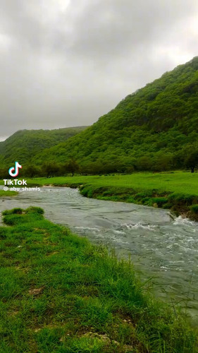 3XBTLyblCIRvfc 1.jpg