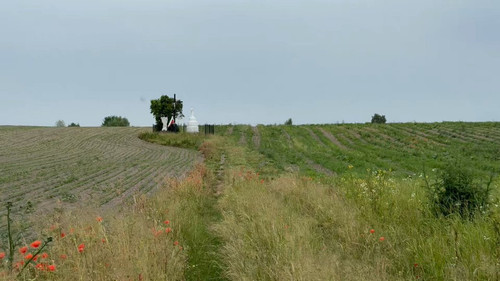 03W8E3V V72JdF9P.jpg